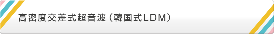 高密度交差式超音波(韓国式LDM)